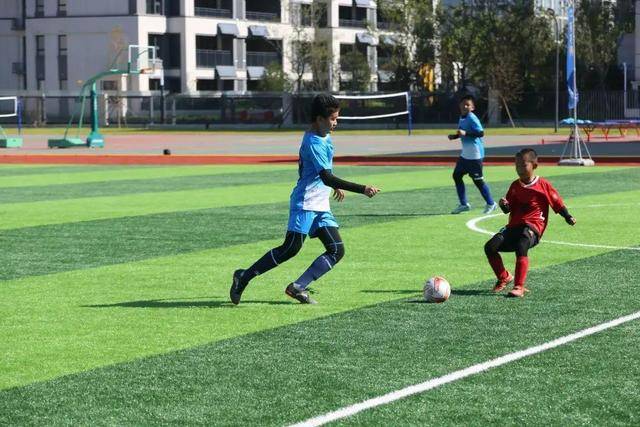 字母46+16雄鹿擒公牛5连胜 快船送奇才14连败